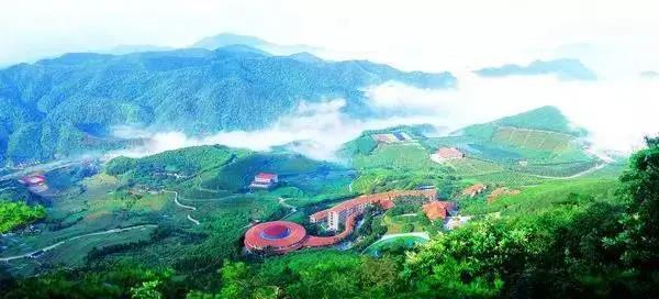 梅州市雁南飛茶田景區(qū)