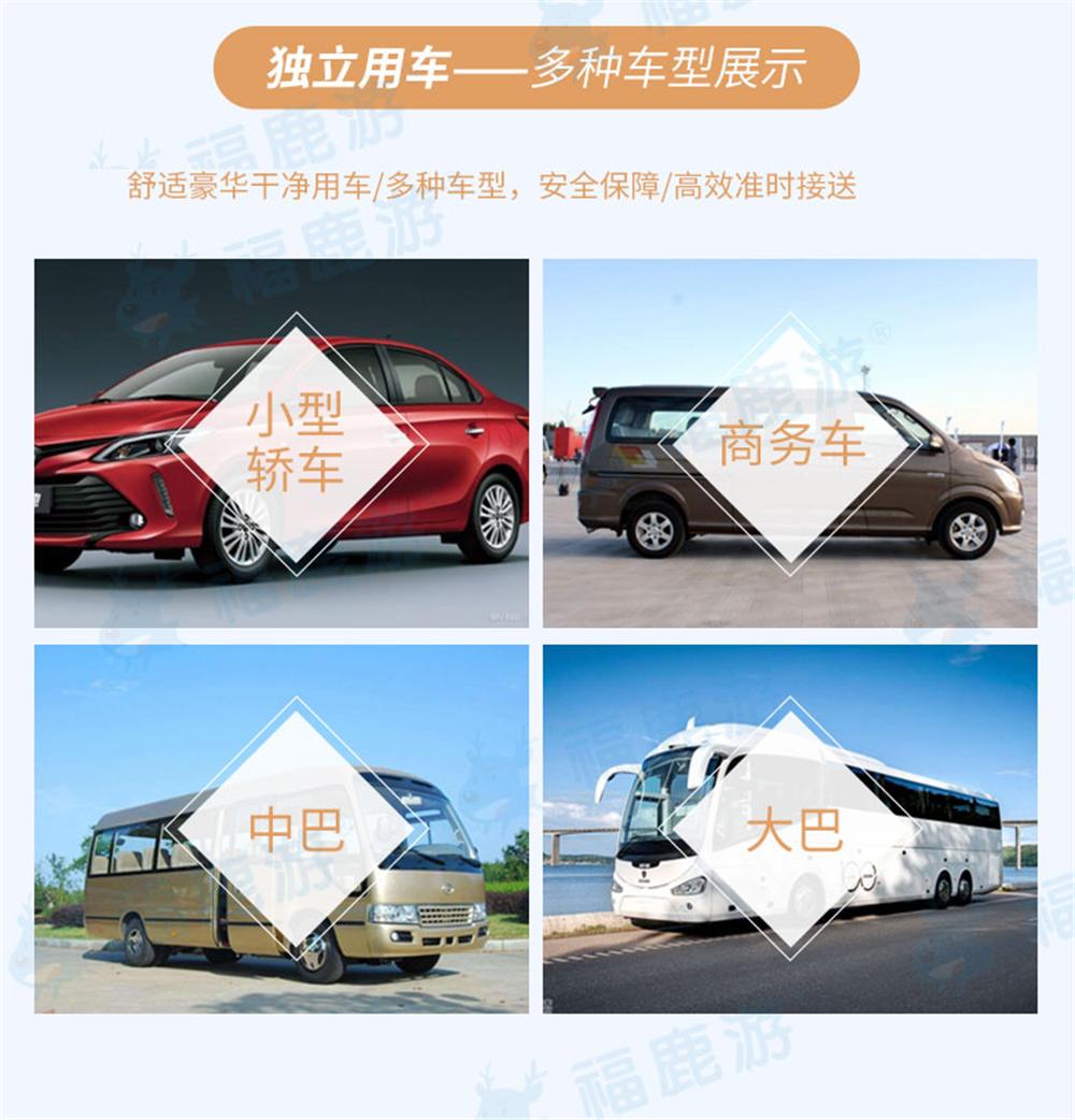 深圳南澳團建定制 (12)