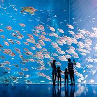 【高端定制】珠海長隆海洋王國+珠海海泉灣溫泉度假村3天游