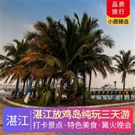 湛江放雞島純玩3天