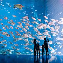 【高端定制】珠海長(zhǎng)隆海洋王國(guó)+珠海海泉灣溫泉度假村3天游(全國(guó)首創(chuàng)旅游+團(tuán)建，更省一半預(yù)算！)