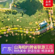 山海相約跨省聯游三日