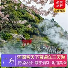 河源客天下直通車三天游