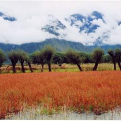 西藏旅游路線惠游西藏 西藏4飛7天 西藏最高禮儀-哈達接機 隨車配備紅景天