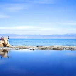廣東到西北旅游天空之鏡 西北青海雙飛6天 中國最美的 天空之鏡 置身云端 這里是攝影家們的天堂