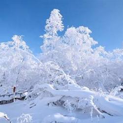 哈爾濱旅游路線冬遇雪鄉(xiāng) 冰城哈爾濱 第一雪嶺虎峰嶺 亞布力滑雪 中國童話雪鄉(xiāng)雙飛6日游 北歐圣誕小鎮(zhèn) 馴鹿部落
