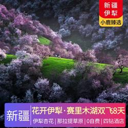 新疆旅游價格花開伊犁 天池 吐魯番 坎兒井 火焰山 賽里木湖 伊犁杏花 那拉提草原 薰衣草莊園 獨山子大峽谷 庫木塔格沙漠8日
