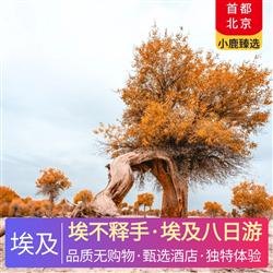 中東非旅游價格埃不釋手 埃及八日游 1 晚開羅國際五星酒店 1 晚盧克索國際五星酒店 升級2晚紅海城堡度假酒店 1晚開羅四季第一居