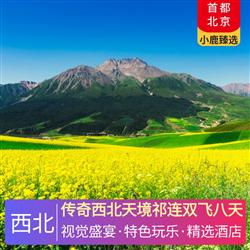 西北旅游價格傳奇西北天境祁連雙飛八天 全程舒適型酒店 升級一晚網評4鉆酒店 祁連星空小木屋
