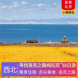 西北旅游價格尋找洛克之路純玩雙飛8日游 全程入住5晚當地準四星酒店 1晚攜程四鉆酒店 1晚景區特色民宿