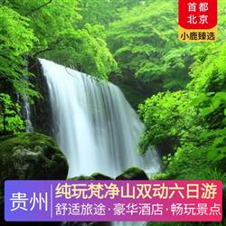 貴州旅游路線純玩梵凈山雙動(dòng)六日游 全程1晚準(zhǔn)四豪華酒店 升級(jí)3晚當(dāng)?shù)販?zhǔn)五超豪華酒店 特別安排西江景區(qū)內(nèi)特色客棧
