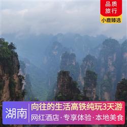 湖南旅游價格向往的生活高鐵純玩3天游 安排入住一晚森林覆蓋率達 99 的五星級酒店 莽山森林溫泉酒店
