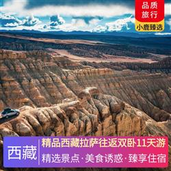 西藏旅游價格精品西藏拉薩往返雙臥11天游 全程精心篩選當地三鉆酒店 升級一晚魯朗小鎮四鉆觀景酒店