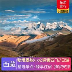 秘境墨脫小眾輕奢四飛7日游 1晚墨脫三鉆酒店 1晚林芝網評四鉆酒店 1晚巴松錯主題酒店 2晚魯朗小鎮四鉆觀景酒店