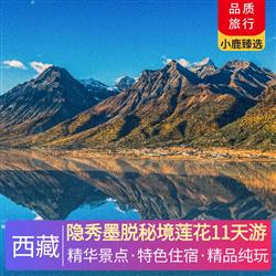 隱秀墨脫秘境蓮花11天游 從 林 開始 入藏先游林芝 低海拔更適應 輕松圓夢西藏