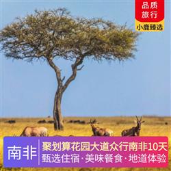 南非旅游價格聚劃算花園大道眾行南非10天 升級 花園大道 4 星 2 晚  太陽城 4 星 1 晚  開普敦 4 星 3 晚