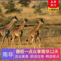 德班一點眾享南非12天 入住 1 晚赫曼紐斯觀鯨小鎮 升級 1 晚 4 星海濱度假酒店 升級 1 晚 4 星普勒滕貝格灣酒店
