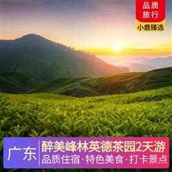 醉美峰林英德茶園2天游<深圳出發(fā)>
