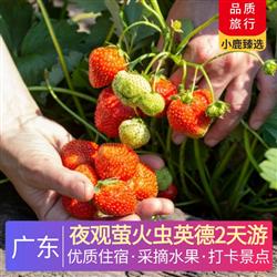 夜觀螢火蟲英德2天游<深圳出發>