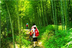 溪頭村竹海-廣東福鹿游國際旅行社