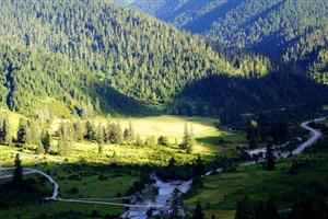 魯朗林海-廣東福鹿游國際旅行社