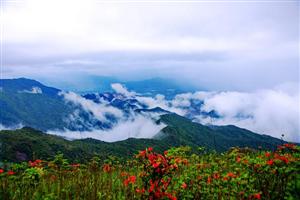 姑婆山.jpg-廣東福鹿游國際旅行社