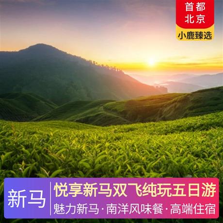 悅享新馬雙飛純玩五日游升級(jí)1晚吉隆坡五磚溫德姆酒店