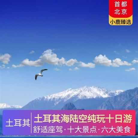 土耳其海陸空純玩十日游伊斯坦布爾升級 2 晚國際五星級酒店，卡帕多奇亞免費升級 2 晚當地特色洞穴酒店