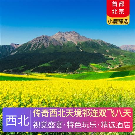 傳奇西北天境祁連雙飛八天全程舒適型酒店+升級一晚網(wǎng)評4鉆酒店+祁連星空小木屋