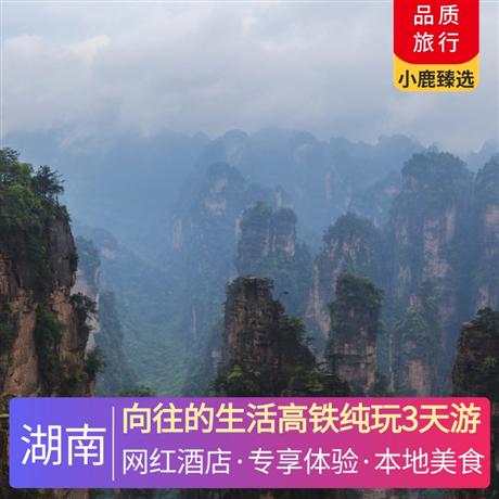 向往的生活高鐵純玩3天游安排入住一晚森林覆蓋率達 99％的五星級酒店—莽山森林溫泉酒店