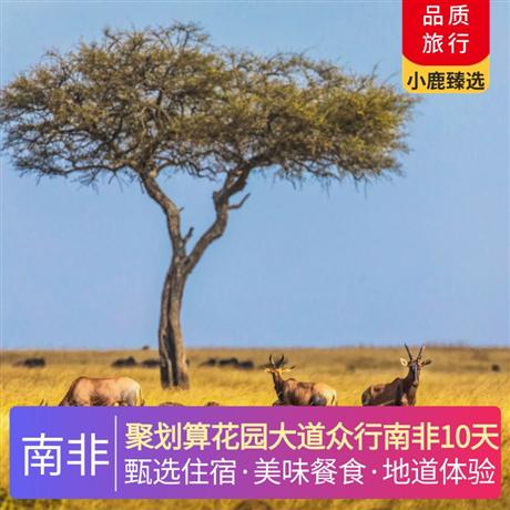 聚劃算花園大道眾行南非10天升級【花園大道 4 星】2 晚，【太陽城 4 星】1 晚，【開普敦 4 星】3 晚