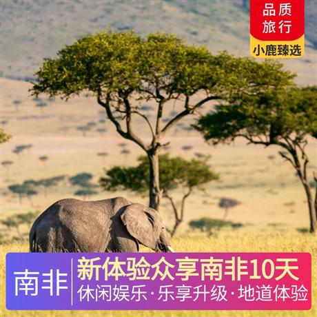 新體驗眾享南非10天營地午餐&晚餐，享受野奢的浪漫，野生保護區越野車 safari