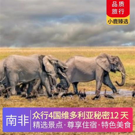 眾行4國維多利亞秘密12 天全程當?shù)?4 星酒店+1 晚非洲特色茅草屋，升級一晚絕美葡萄園區(qū)酒店