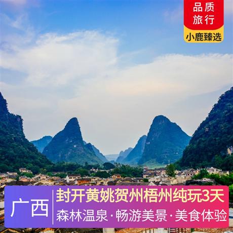 封開黃姚賀州梧州純玩3天西江第一樓-廣信塔、堪稱世界第八大奇跡--騎樓博物城